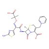 Ceftazidime (containing approximately 10% sodium carbonate)