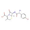 Cefadroxil