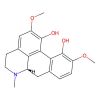 Corytuberine