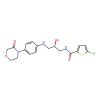 (R)-5-Chloro-N-(2-hydroxy-3-((4-(3-oxomorpholino)phenyl)amino)propyl)thiophene-2-carboxamide
