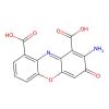 Cinnabarinic Acid