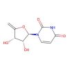 4',5'-Didehydro-5'-deoxyuridine