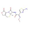 Deacetylcefotaxime lactone
