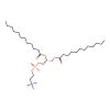 1,2-dilauroyl-sn-glycero-3-phosphocholine