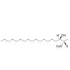 1-deoxysphinganine (m18:0)