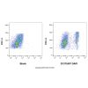 DAPI Staining Solution - BioReagent, for microscopy, sterile-filtered, Suitable for Immunofluorescence(IF), 1.0 mg/mL by Aladdin Scientific