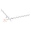 D- erythro C8 Ceramide-1-phosphate