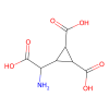 DCG IV, Antagonist of mGlu 1 receptor;Agonist of mGlu 2 receptor;Agonist of mGlu 3 receptor;Antagonist of mGlu 5 receptor;Antagonist of mGlu 6 receptor;Antagonist of mGlu 7 receptor;Antagonist of mGlu 8 receptor