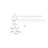1,2-Dipalmitoyl-L-α-phosphatidyl-D-myo-inositol 4,5-bisphosphate - ≥98%, used for , CAS No. 120595-88-2, by Aladdin Scientific