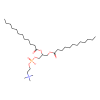 2,3-Didocecanoyl-sn-glycero-1-phosphocholine