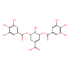 3,5-Di-O-galloylshikimic acid