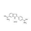 DAPI staining solution (ready to use)