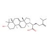Dehydrotrametenolic acid