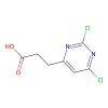 2，6-Dichloro-4-pyrimidinepropanoic Acid