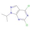 4，6-Dichloro-1-isopropyl-1H-pyrazolo[3，4-d]pyrimidine