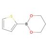 2-(Thiophen-2-yl)-1,3,2-dioxaborinane