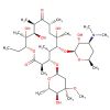 Erythromycin