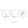 EdU Cell Proliferation Detection Kit (AF647) - BioReagent,Biological Stain,for microscopy,for fluorescence analysis  by Aladdin Scientific