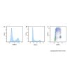 EdU Cell Proliferation Detection Kit (6-FAM)