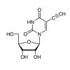 5-Ethynyluridine (5-EU)