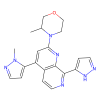 Elimusertib (BAY-1895344), Serine-protein kinase ATR inhibitor