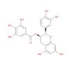 (-)-Epicatechin gallate