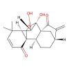 Eriocalyxin B