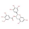 (-)-Epigallocatechin-3-(3''-O-methyl) gallate
