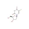 5-Fluoro-2′-deoxyuridine(FUDR), Thymidylate synthase inhibitor