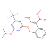 Fluacrypyrim - analytical standard CAS No(229977-93-9) by Aladdin Scientific