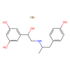 Fenoterol solution