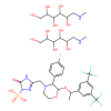 Fosaprepitant dimeglumine salt, Neurokinin 1 receptor antagonist