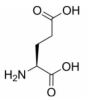 L(+)-Glutamic acid - Animal Free, USP, JP, Ph.Eur., for cell culture, ≥98.5% CAS No(56-86-0) by Aladdin Scientific
