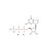 Guanosine-5'-triphosphate disodium salt(5′-GTP-Na2)