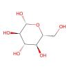 Glucose Oxidase from Aspergillus niger