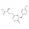 Gamma-Glutamyltyrosine