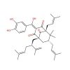 Garcinol, Inhibitor of E1A binding protein p300;Inhibitor of lysine acetyltransferase 2B
