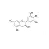 (+)-Gallocatechin