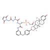 Glucocorticoid receptor agonist-1 phosphate Ala-Ala-Mal