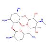 Gentamicin C1a
