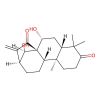 Glaucocalyxin A