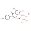 Genistein 8-c-glucoside