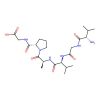 Hexapeptide-12 (val-gly-val-ala-pro-gly)