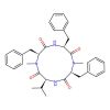 Hirsutide