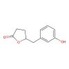 5-[(3-Hydroxyphenyl)methyl]oxolan-2-one