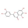 6-Hydroxyluteolin