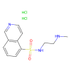 H8 dihydrochloride