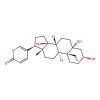 Hellebrigenin
