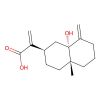 5α-Hydroxycostic acid