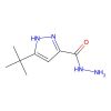 3-(tert-Butyl)-1H-pyrazole-5-carbohydrazide